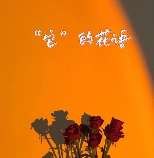 浪漫花语安喻是什么？如何通过花语表达浪漫？