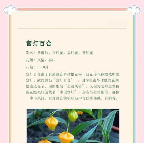 复活节百合花的由来和意义是什么？它们在宗教中扮演什么角色？