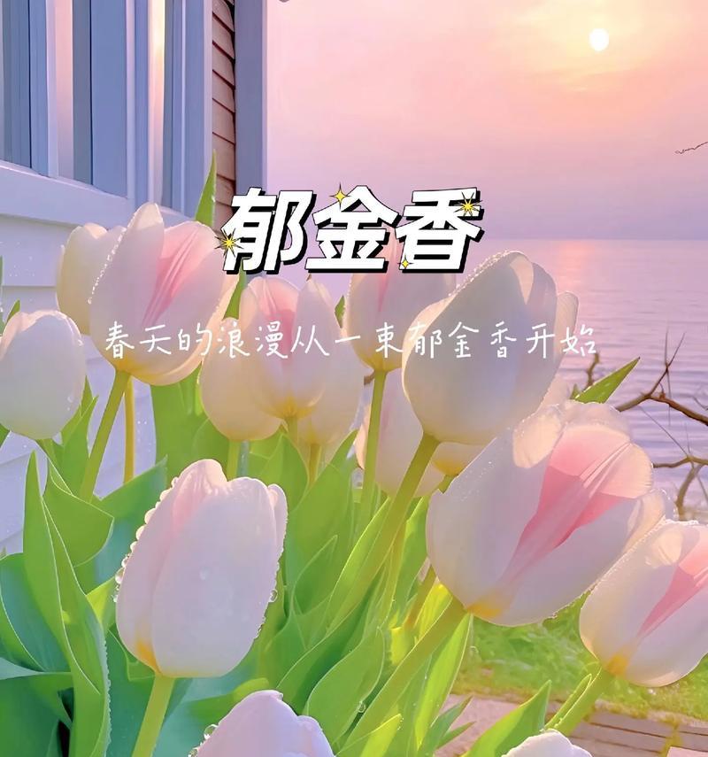 哪种花的花语最浪漫？如何选择表达浪漫的花卉？