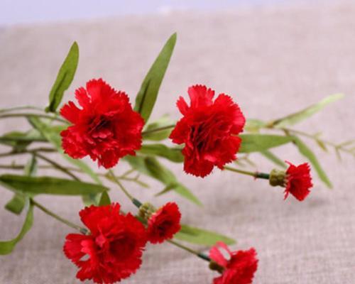 假花作为母亲节礼物有何含义？它的寓意是什么？