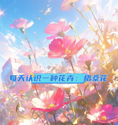 哪些花带有幸福的意义？它们的寓意是什么？