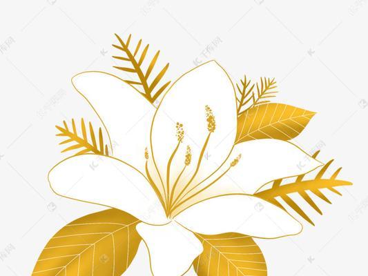 金色花代表什么？它的象征意义是什么？