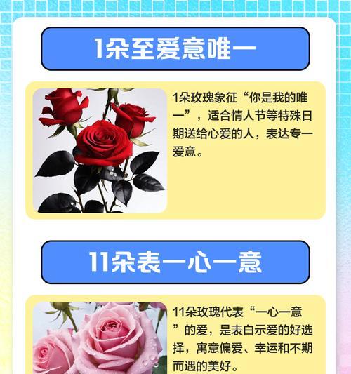 花为何是浪漫的象征？它们代表了哪些情感？