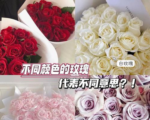 不同颜色玫瑰花的含义是什么？玫瑰花颜色代表什么？