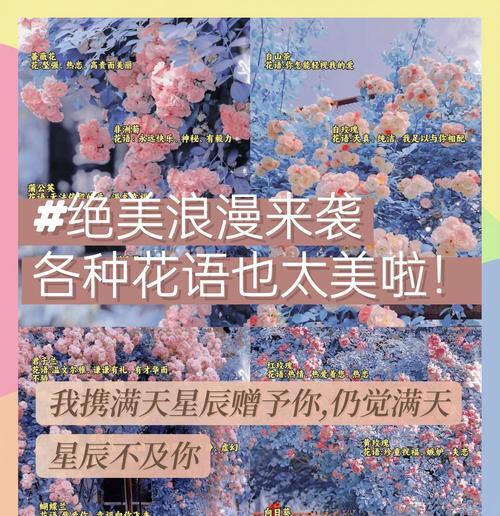 推荐哪些浪漫花语的花束？