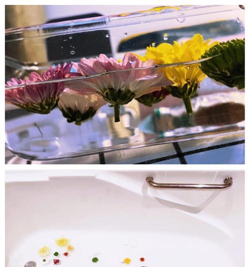 七色花每种颜色代表什么？它们各自的意义是什么？