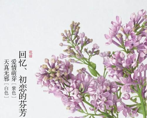 象征幸福和年轻的花？哪些花卉代表着青春与幸福？