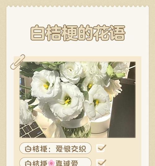 白色套装的花语是什么？如何用花语表达纯洁？