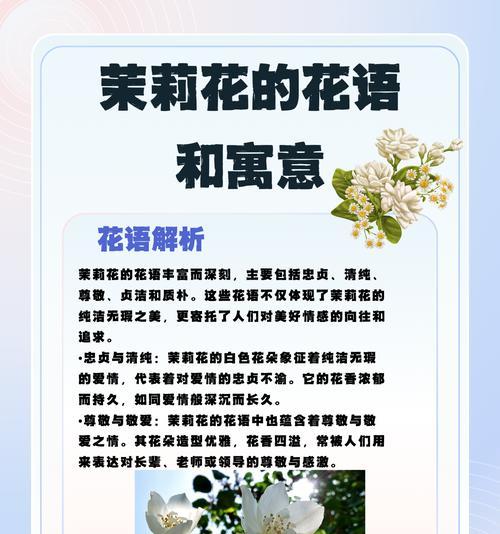 白色套装的花语是什么？如何用花语表达纯洁？