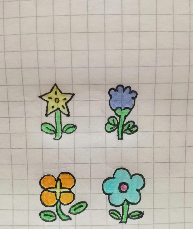 手绘中象征健康的花有哪些？