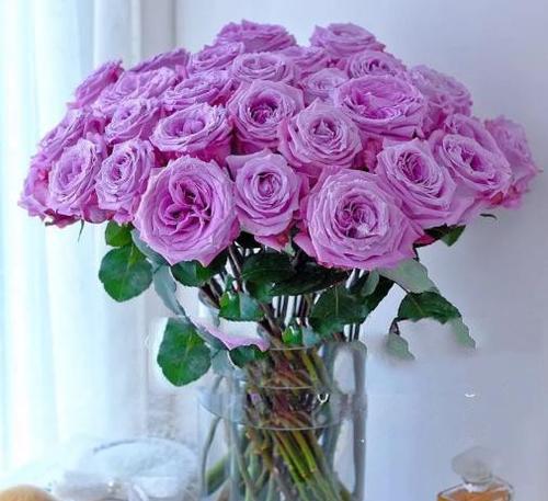 紫色玫瑰花吊坠代表什么？紫色玫瑰花吊坠的寓意是什么？