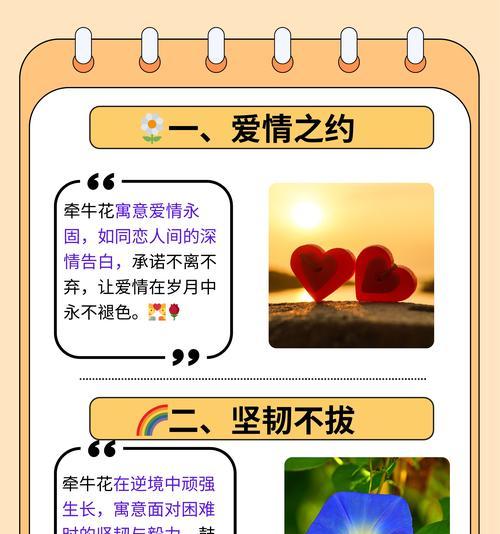 寓意爱情的花盆有哪些花？这些花如何表达爱情？