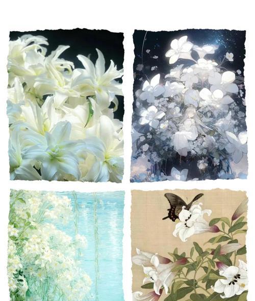 百合花的传说故事有哪些？它们的寓意是什么？