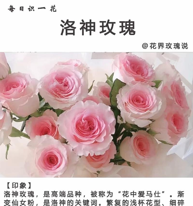 爱情绽放的花语是什么？如何表达爱意？