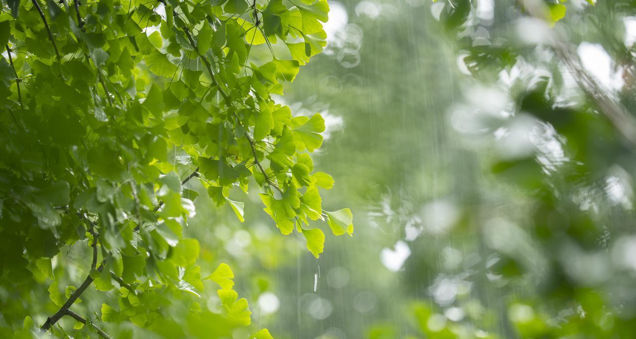 新一轮强降雨范围已定！今天夜间至8月1日天气预报，暴雨分布如下