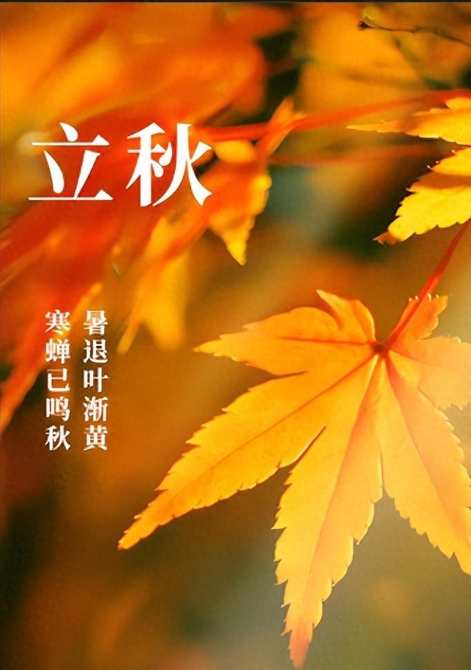 最新天气：立秋节气，北方地区降雨还将持续，主要分布如下地区！