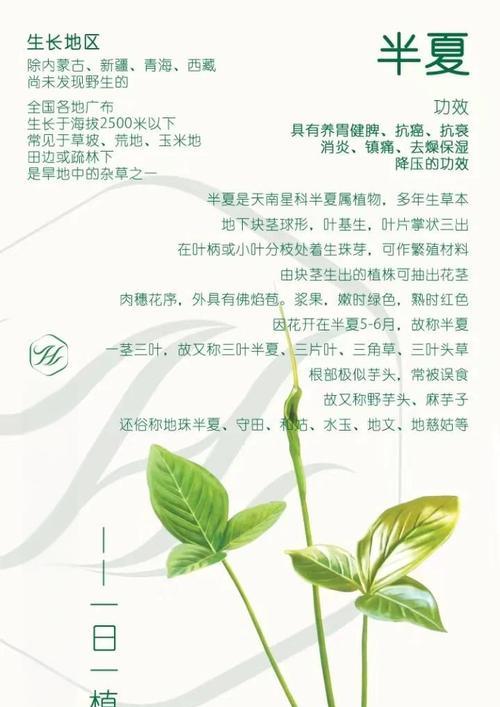 半夏种植条件与生长环境（探秘半夏生长条件，打造优质半夏种植环境）