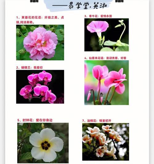 黄瓜病虫害的综合防治（科学防治，保证黄瓜丰收）