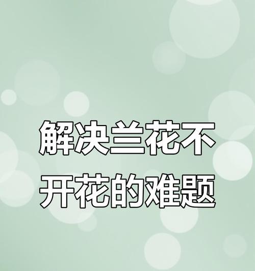 兰草不开花的原因剖析（探究兰草不开花的真相，为何总是只有叶子？）