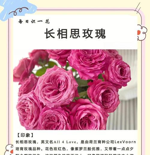 蓝石莲怎么处理开花后（科学方法让你的蓝石莲更健康）