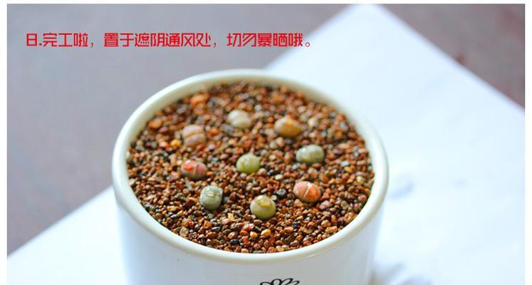 屁股花的养殖方法及养护要点（打造美丽花园的秘密此文1个）