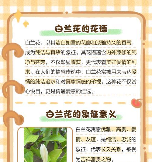 白兰花开花周期及养护技巧（从栽培到开花全面指南，掌握这些要点轻松打造美丽花园）