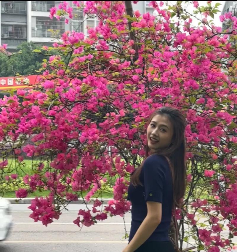 好久不见——缅怀友情之花（寓意深远的花语与情感的呼唤）