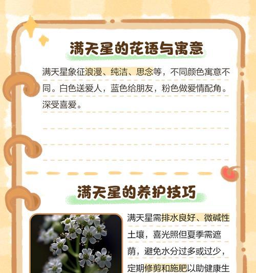 满天星花期是什么时候？（一年四季的满天星花海等你来赏。）