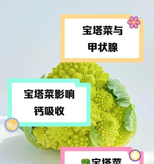 探秘宝塔菜的神奇功效（解析宝塔菜的营养价值和医疗作用）