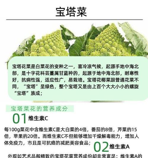 探秘宝塔菜的神奇功效（解析宝塔菜的营养价值和医疗作用）
