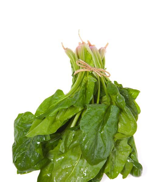 探秘宝塔菜的神奇功效（解析宝塔菜的营养价值和医疗作用）