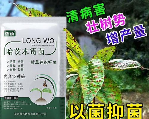大樱桃炭疽病的防治（探究病害发生原因，科学防治方法解析）