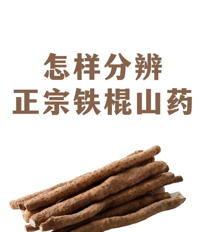 山药品种选择与栽培技巧（选择优质山药品种，轻松栽培高产收获）