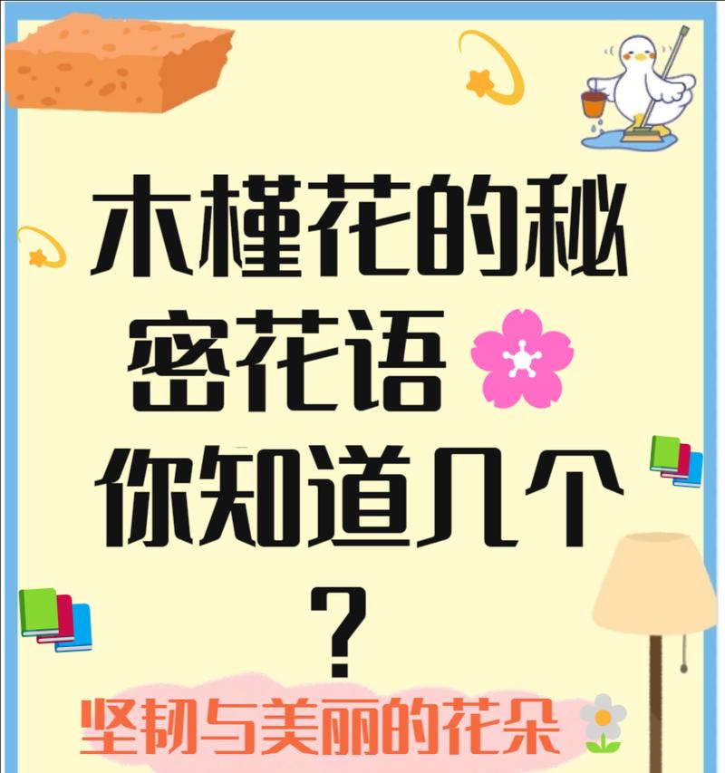 木槿花花语解读（木槿花的花语及象征含义）