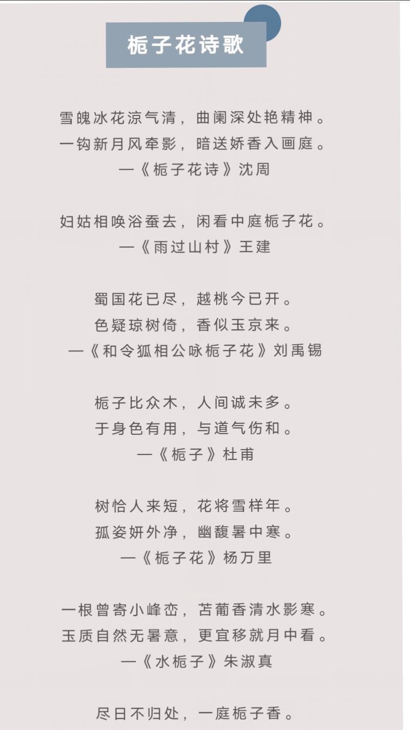 栀子花的花语与寓意（栀子花的象征意义及传承）