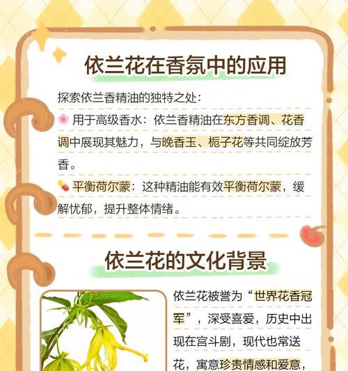 兰花的花语和寓意（探索兰花的象征意义，了解其神秘美丽与文化内涵）