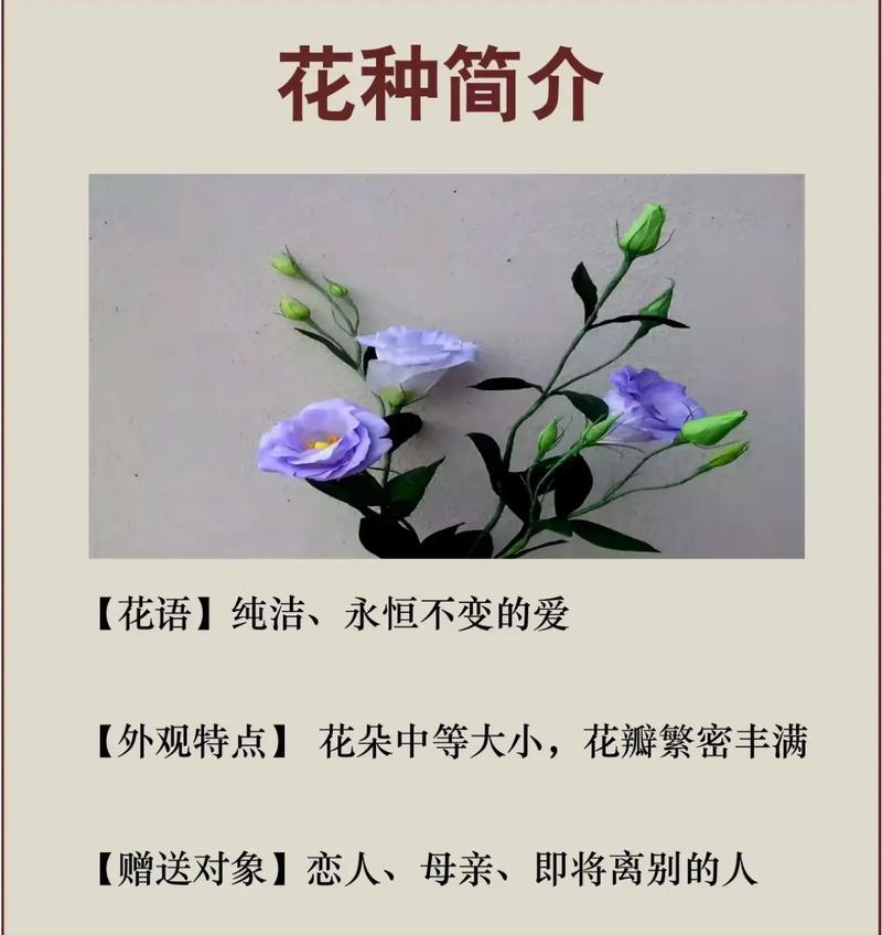 洋桔梗花语——坚定和祝福（传达美好祝愿的洋桔梗花语）