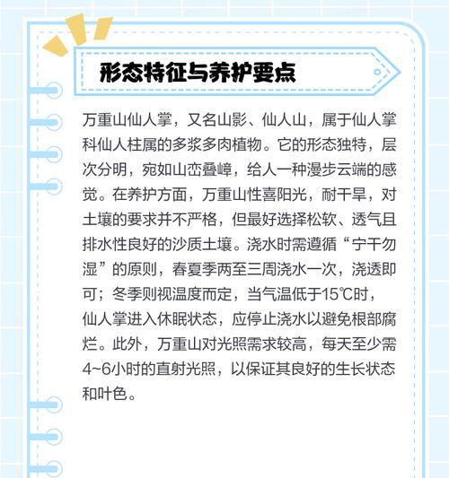 仙人掌花语（探寻仙人掌花的美丽意义，传达坚持与期待）